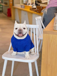 HKM-0598589 Bichon Corgi Wool Winter Sweater in Blue, Available in L/XL/XXL/3XL