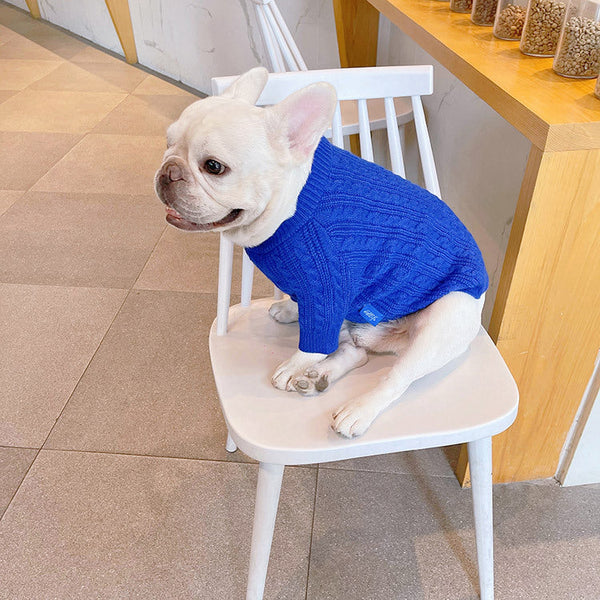 HKM-0598589 Bichon Corgi Wool Winter Sweater in Blue, Available in L/XL/XXL/3XL