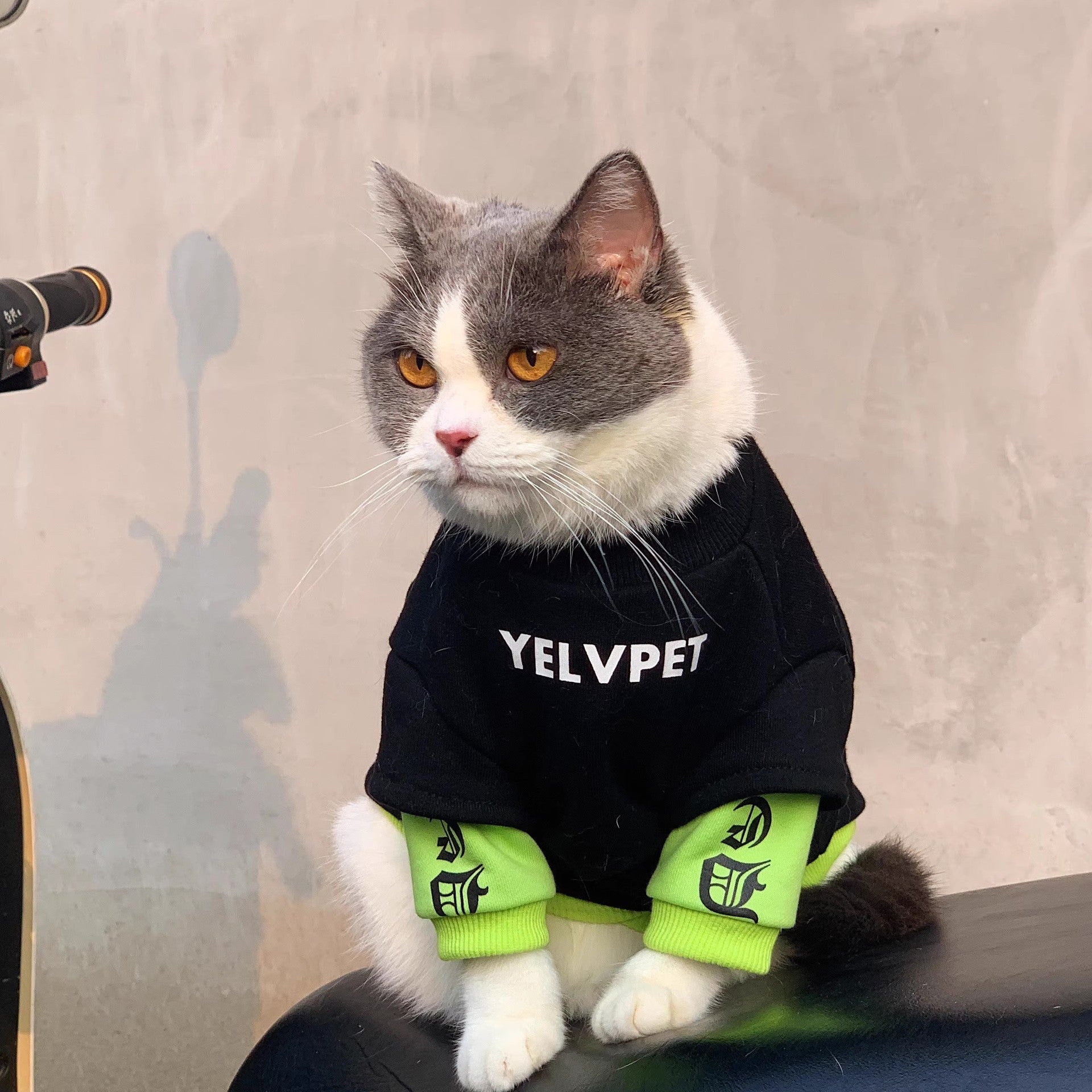 HKM-0598973 Cozy Black Panel Sweater for Cats and Small Dogs - Autumn and Winter Wear