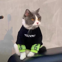 HKM-0598973 Cozy Black Panel Sweater for Cats and Small Dogs - Autumn and Winter Wear