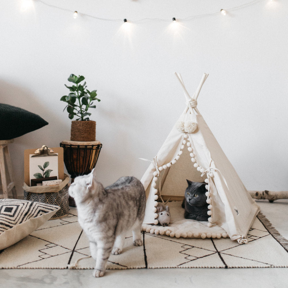 HKM-0600637 Cozy Canvas Pet Tent Bed with Pine Wood Frame - Portable, Washable, Easy Setup for Cats and Small Dogs