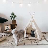 HKM-0600637 Cozy Canvas Pet Tent Bed with Pine Wood Frame - Portable, Washable, Easy Setup for Cats and Small Dogs