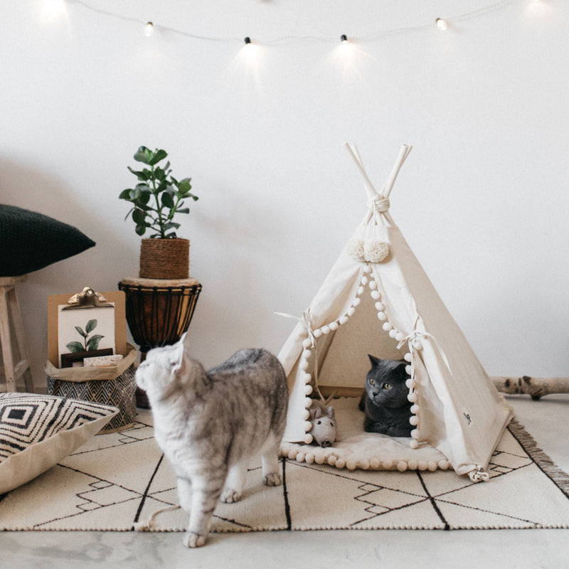 HKM-0600637 Cozy Canvas Pet Tent Bed with Pine Wood Frame - Portable, Washable, Easy Setup for Cats and Small Dogs