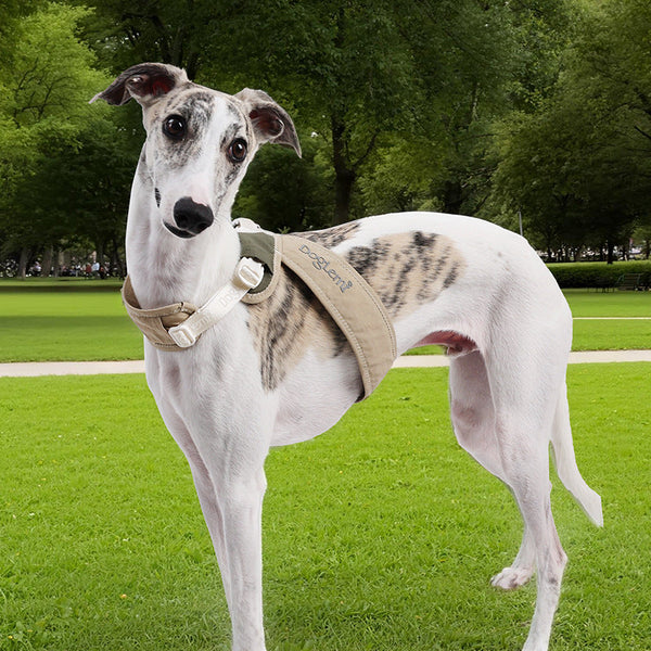 HKM-0605629 Nylon Pet Chest Harness Vest for Comfort and Safety