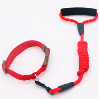 HKM-0611901 Durable Adjustable Pet Leash and Collar Set for All Dog Sizes