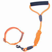 HKM-0611901 Durable Adjustable Pet Leash and Collar Set for All Dog Sizes
