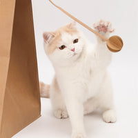 HKM-0612157 Kraft Paper Cat Nest with Integrated Scratch Board - Washable & Durable Design
