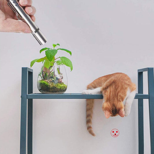 HKM-0612925 USB Rechargeable Laser Cat Toy with Red, Purple, and White Light Functions