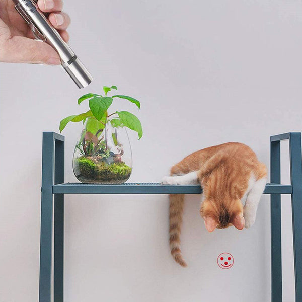 HKM-0612925 USB Rechargeable Laser Cat Toy with Red, Purple, and White Light Functions
