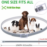 HKM-0614077 Flea and Tick Collar for Cats and Dogs ¨C 8 Months of Protection, Adjustable, Water-Resistant, Allergy-Free