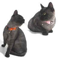 HKM-0614333 Adjustable Multi-Color Striped Nylon Bow Collar with Bell for Cats