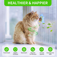 HKM-0619325 Organic Catnip Ball with Silvervine for Indoor Cats - Edible Plant-Based Cat Toy for Stress Relief and Fresh Breath