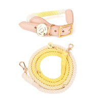 HKM-0619837 Multifunctional Rainbow Gradient Cotton Dog Traction Rope with Hand-Woven Collar Options