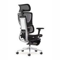 HKM-062483 Ergonomic High Back Mesh Executive Office Chair with Swivel Function and Modern Design