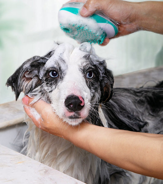 HKM-0625469 Pet Bath Massage Comb for Dogs and Cats - Dual Function ABS Brush with Soft Bristles