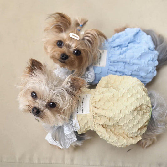HKM-0625981 Contrast Color Suspender Skirt for Pets - Blue and Yellow, Polyester Material, Multiple Sizes Available