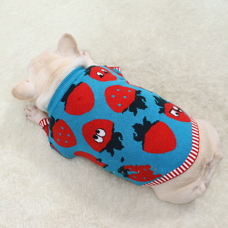 HKM-0631357 Cute Blue Strawberry Cartoon Sweater for Short and Fat Dogs - Available in S, M, L, XL