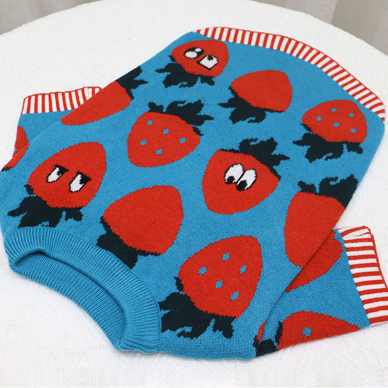 HKM-0631357 Cute Blue Strawberry Cartoon Sweater for Short and Fat Dogs - Available in S, M, L, XL