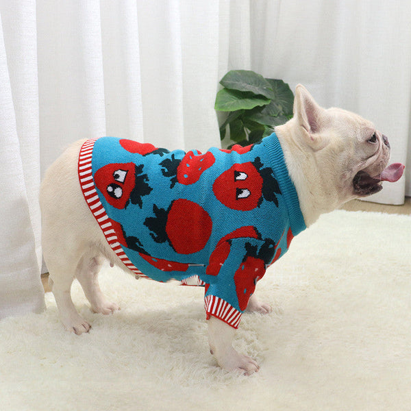 HKM-0631357 Cute Blue Strawberry Cartoon Sweater for Short and Fat Dogs - Available in S, M, L, XL