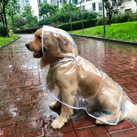 HKM-0631741 Waterproof Transparent Raincoat for Large Dogs - Casual Pet Clothing in Various Sizes