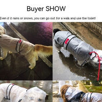 HKM-0631741 Waterproof Transparent Raincoat for Large Dogs - Casual Pet Clothing in Various Sizes