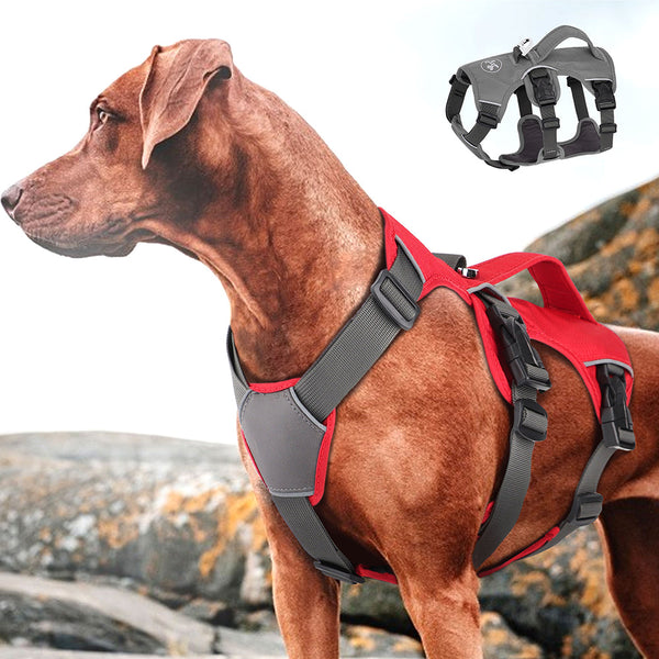 HKM-0632637 Adjustable Dog Traction Chest Strap with Oxford Fabric and Breathable Mesh - Red/Grey