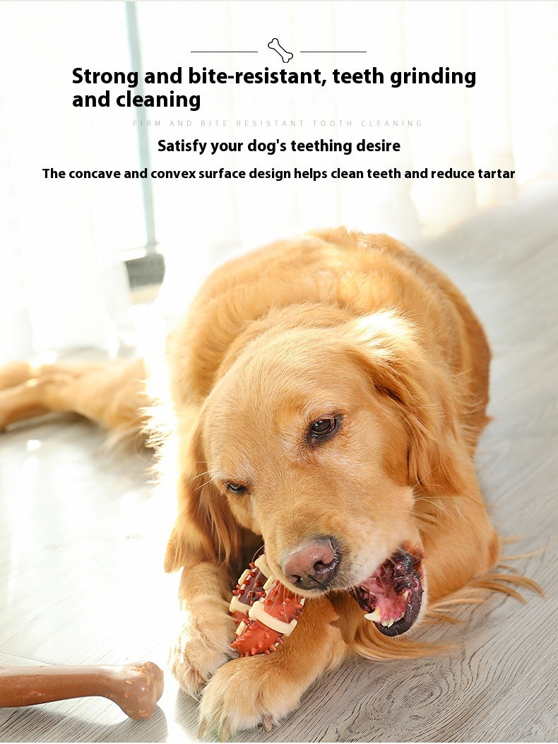HKM-0634173 Durable Nylon TPR Dog Molar Toy - Bite-Resistant Double Color Bone