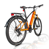 HKM-063507 Central Motor Electric City Bike 48V 250W with 13Ah Lithium Battery, Aluminum Alloy Frame, 7-Speed Gears, 29-Inch Wheels