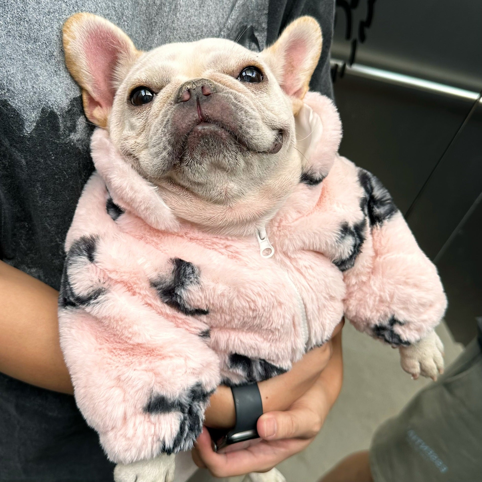 HKM-0637501 Fluffy Pink Velvet Coat for Cats - Stylish Princess Design, Multiple Sizes Available