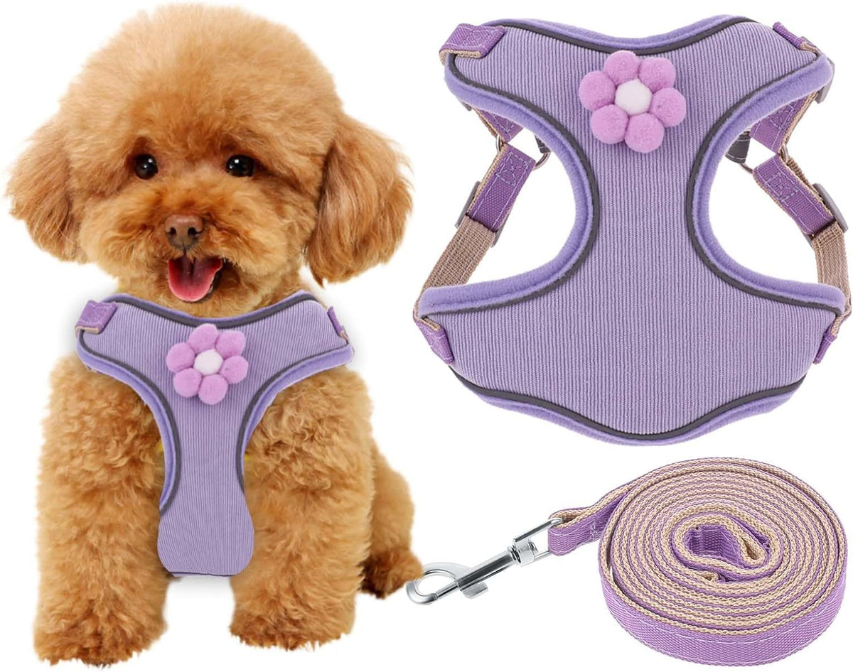 HKM-0640573 Breathable Mesh Dog Vest Harness with Quick Release Buckle for Small, Medium, and Large Dogs