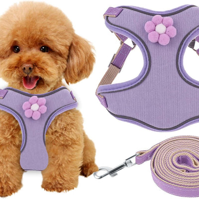 HKM-0640573 Breathable Mesh Dog Vest Harness with Quick Release Buckle for Small, Medium, and Large Dogs
