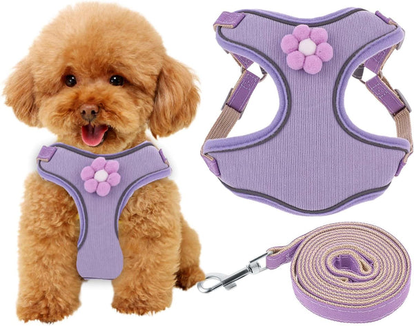 HKM-0640573 Breathable Mesh Dog Vest Harness with Quick Release Buckle for Small, Medium, and Large Dogs