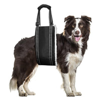 HKM-0641725 Adjustable Dog Rehabilitation Training Belt for Senior and Disabled Pets in Black Teddy Plush