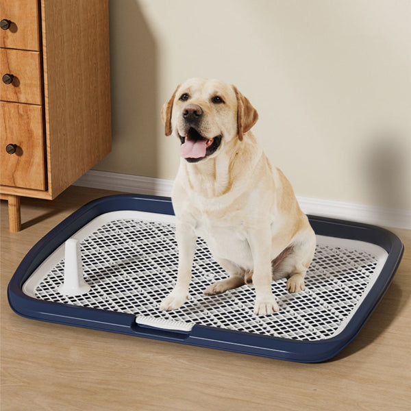 HKM-0646717 Oversized Flat Dog Toilet in Multiple Colors - Anti-Stepping Design, 65x50x6.5cm