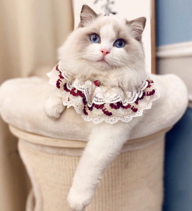 HKM-0647101 Cotton Lace Adjustable Bib Scarf for Pets - Available in Wine, Red, Pink, Sizes XS to XL
