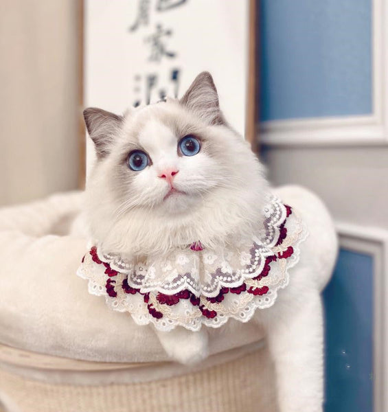 HKM-0647101 Cotton Lace Adjustable Bib Scarf for Pets - Available in Wine, Red, Pink, Sizes XS to XL