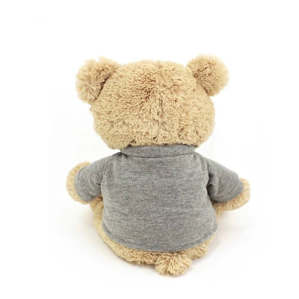HKM-064787 Custom Soft Teddy Bear with Personalised T-Shirt