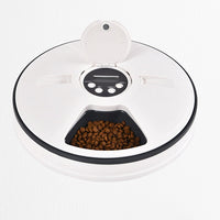 HKM-0648637 Automatic Timed Pet Feeder - Plastic Design in Gray, Green, and Pink
