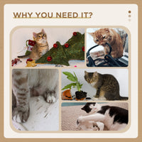 HKM-0653885 3-Level Cat Tree Tower with Scratching Posts, Condo, Beds, and Badminton Toys for Kittens