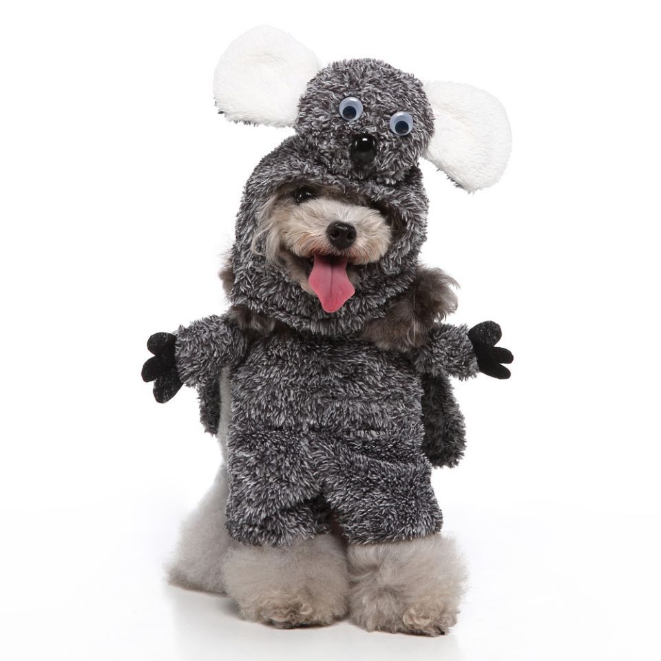 HKM-0654781 Pet Clothing Collection in Various Unique Designs - Available in S, M, L, XL Sizes, Made of Polyester