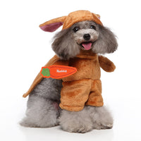 HKM-0654781 Pet Clothing Collection in Various Unique Designs - Available in S, M, L, XL Sizes, Made of Polyester