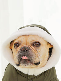 HKM-0655037 Cozy Cotton Winter Dog Clothes with Plus Velvet Thickening – Red and Green Options Available