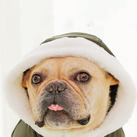 HKM-0655037 Cozy Cotton Winter Dog Clothes with Plus Velvet Thickening – Red and Green Options Available