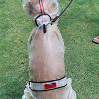 HKM-0657981 Waterproof Raincoat for Large Dogs made with Durable Raincoat Cloth and TPU Material