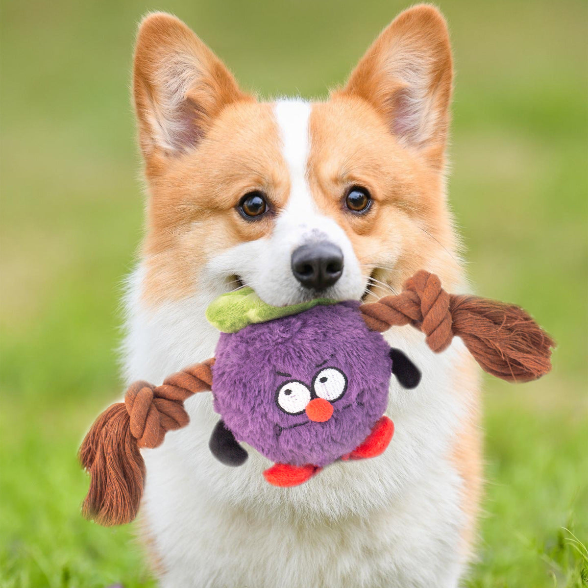 HKM-0663613 Interactive Plush Rope Knot Dog Toy for Tug of War and Dental Care