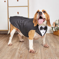 HKM-0664509 Elegant Dog Wedding Suit with Triangular Scarf - Gray Striped Design, Various Sizes Available