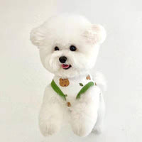HKM-0666685 Lightweight Summer Vest for Small Dogs with Adorable Squirrel and Bear Designs