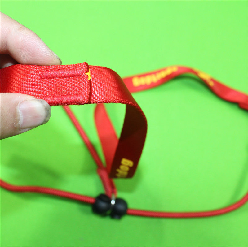 HKM-0666941 Durable Nylon Training Rope for Medium and Large Dogs - 2m Long, Black/Red