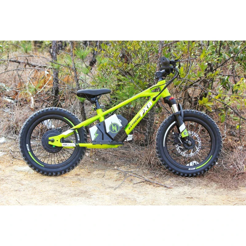 HKM-066899 Children's Electric Balance Bike 16" Aluminum Alloy Rim 36V 350W, Disc Brake, Central Lithium Battery, 2 Speed Options