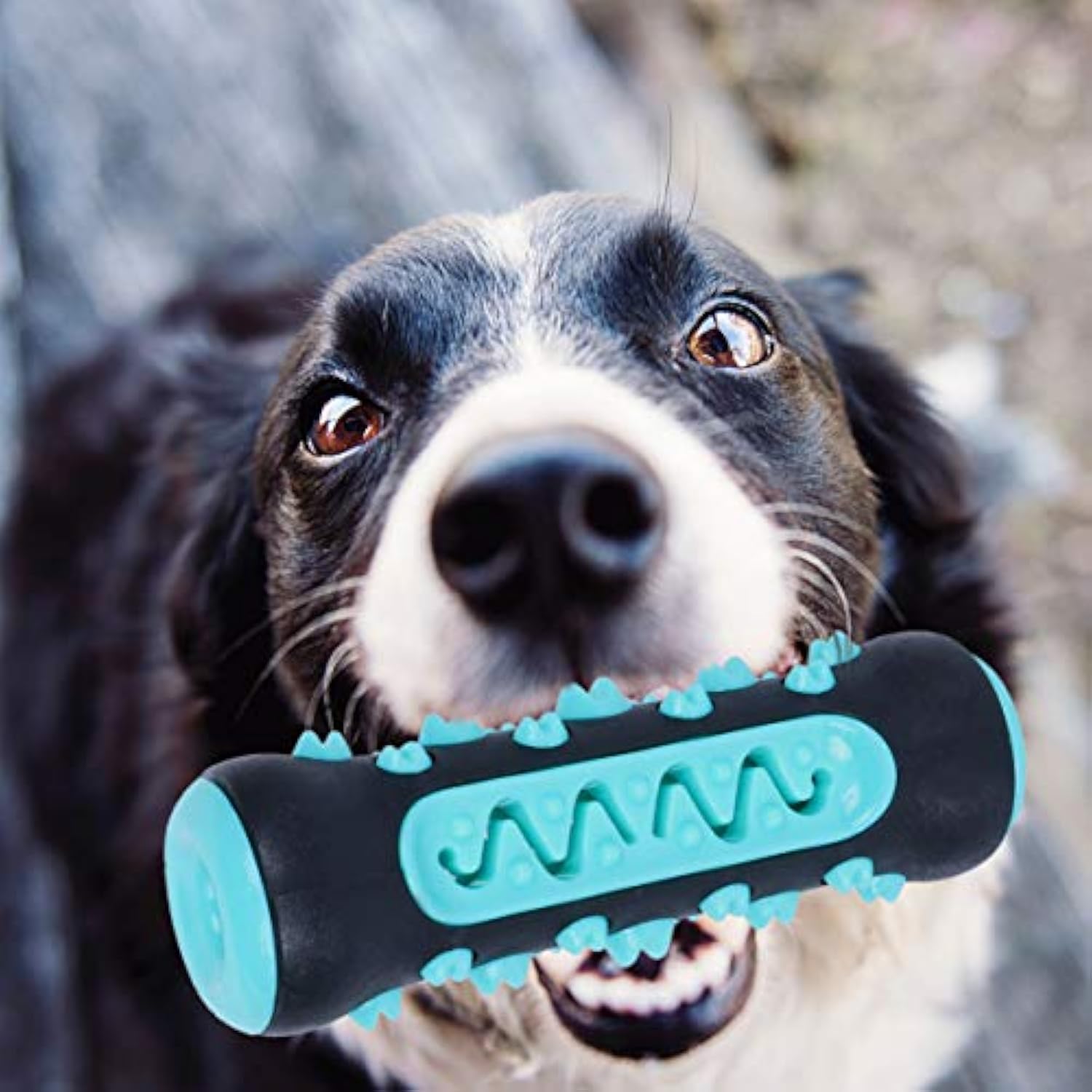 HKM-0669373 Natural Rubber Dog Toothbrush Chew Toy for Dental Cleaning and Teething Relief
